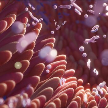 disbiosis intestinal_histamina_dao