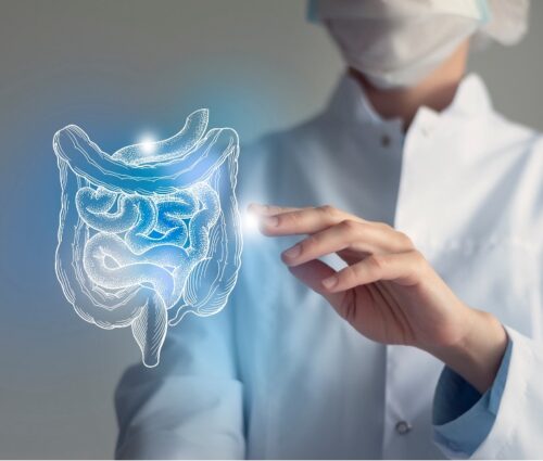 Intestino